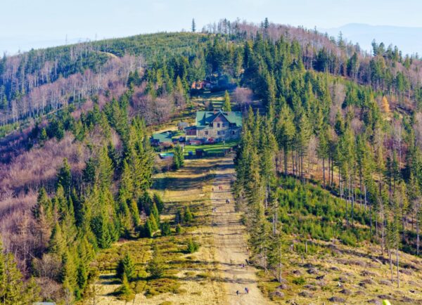 Niebieski szlak na Klimczok przez osiedle Podmagura