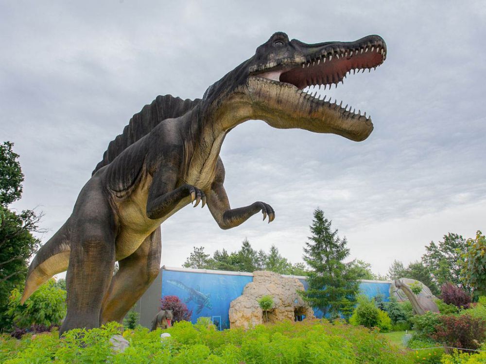 Ochaby park zachwyca fantastycznymi dinozaurami