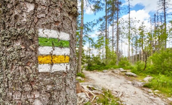 Kolory szlaków w górach