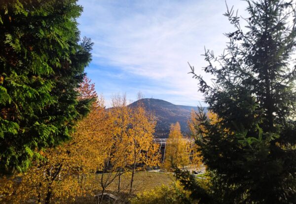 Spacer do Sanktuarium Matki Boskiej w Szczyrku