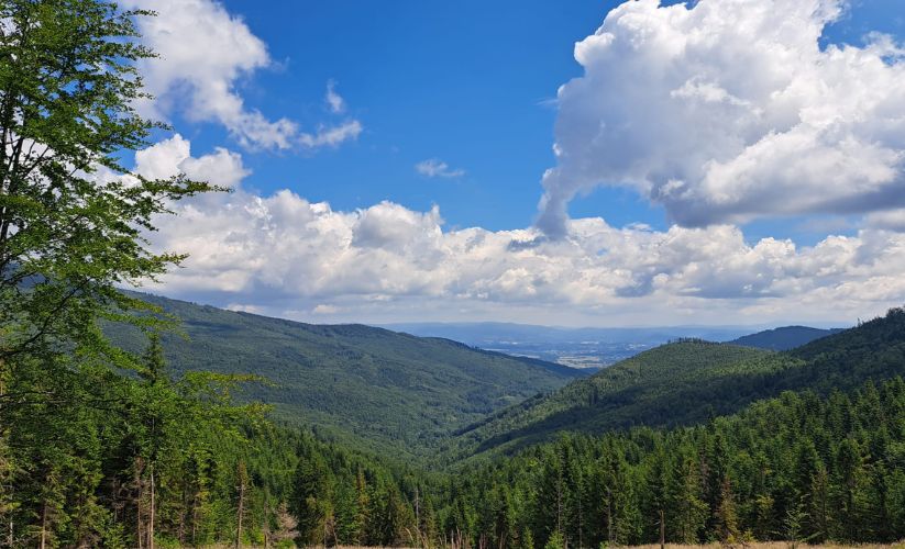 Niepowtarzalny szlak z Przełęczy Salmopolskiej na Skrzyczne